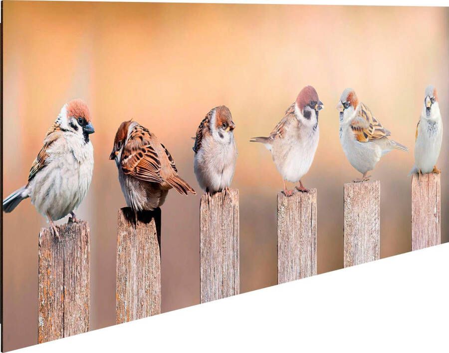 Reinders! Artprint op hout Decoratief paneel 30x90 Bird Family