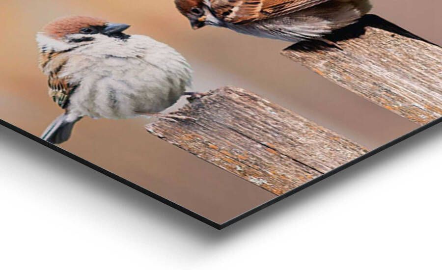 Reinders! Artprint op hout Decoratief paneel 30x90 Bird Family