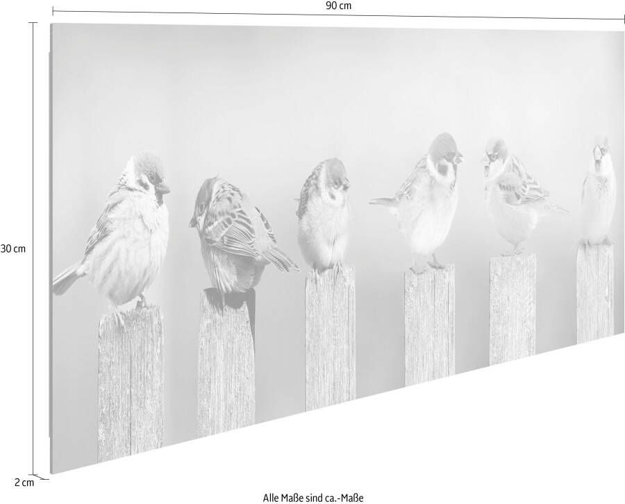 Reinders! Artprint op hout Decoratief paneel 30x90 Bird Family