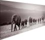 Reinders! Artprint op hout Decoratief paneel 52x156 Line of Elephants - Thumbnail 3