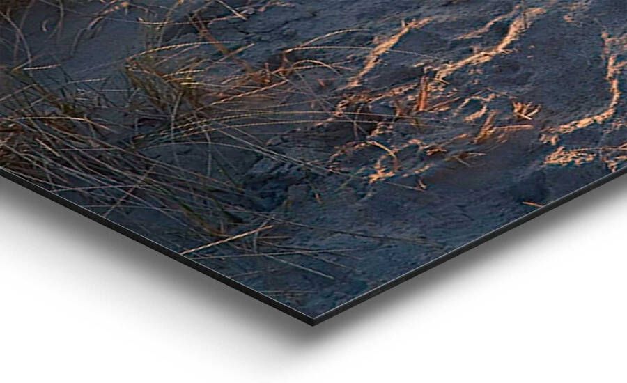 Reinders! Artprint op hout Decoratief paneel 60x90 Dune Path