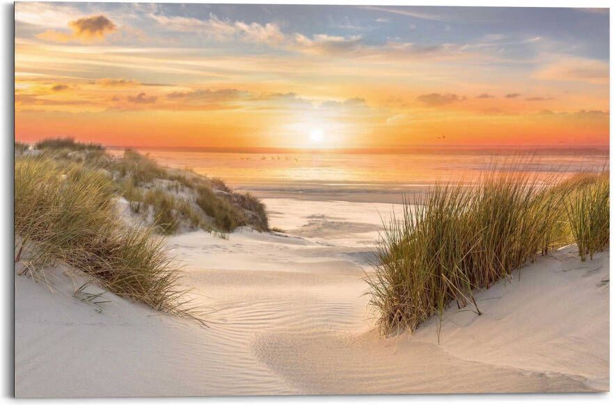 Reinders! Decoratief paneel Beautiful Dunes