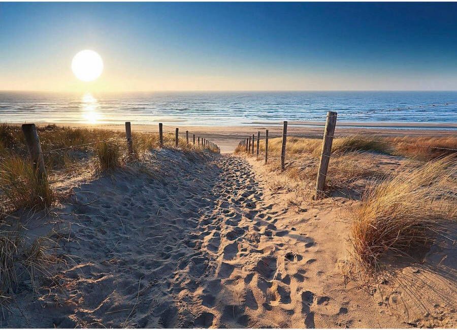 Reinders! Decoratief paneel Duinweg naar zee