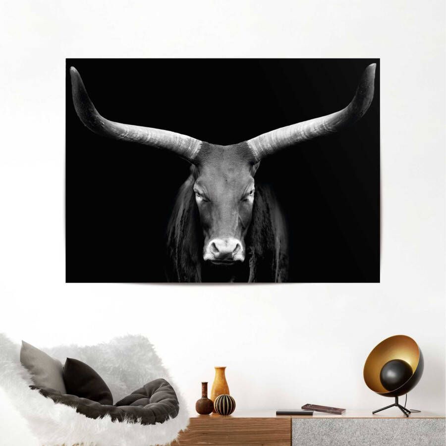 Reinders! Poster Afrikaanse koe