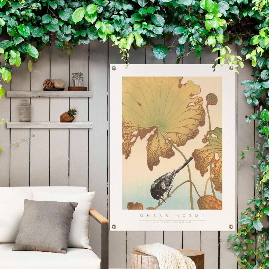 Reinders! Poster Bachstelze auf Lotuspflanze
