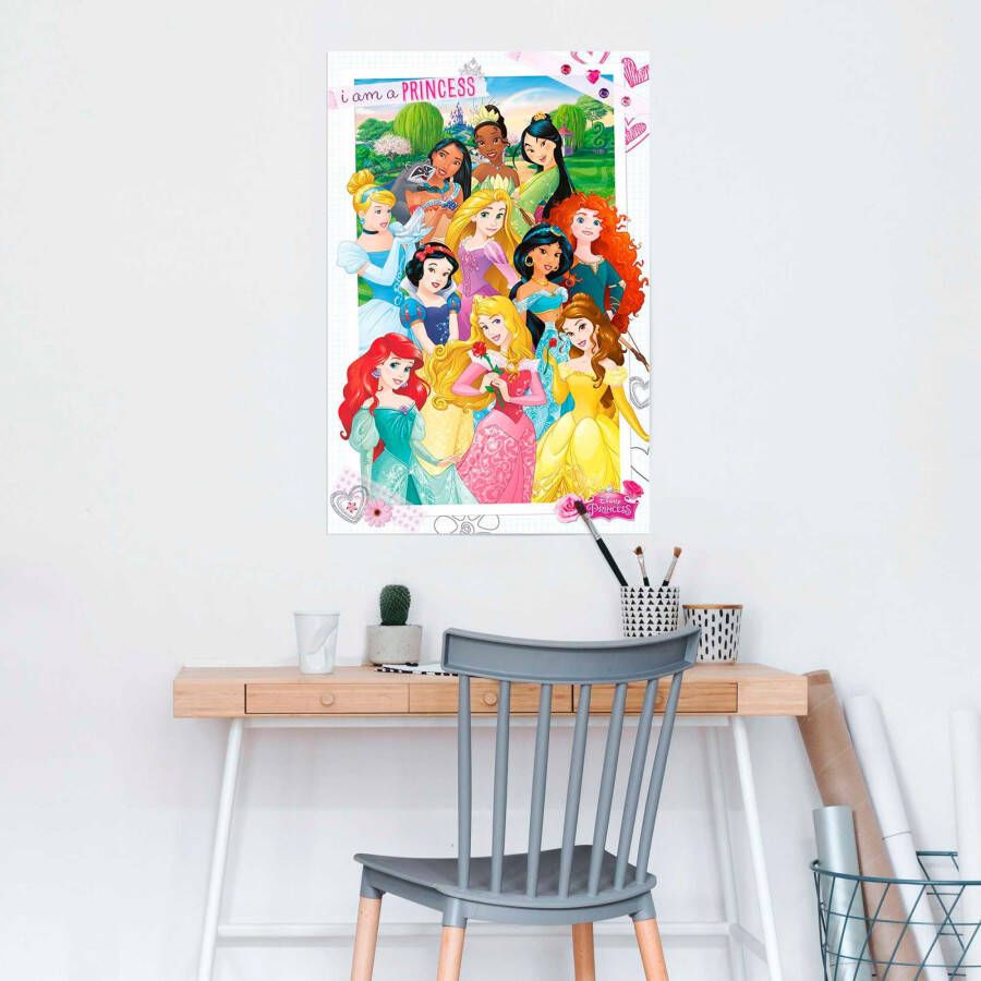 Reinders! Poster Disney Princess