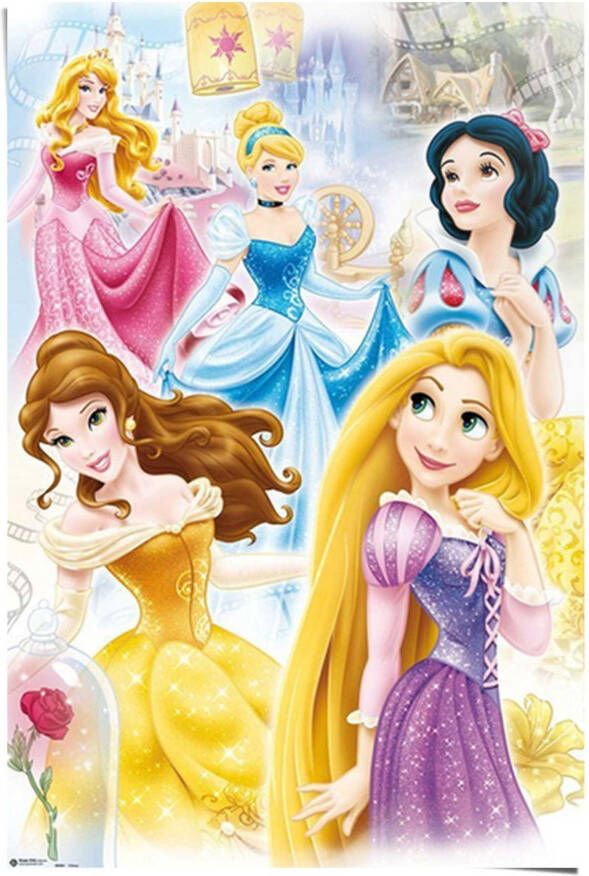 Reinders! Poster Disney Princess