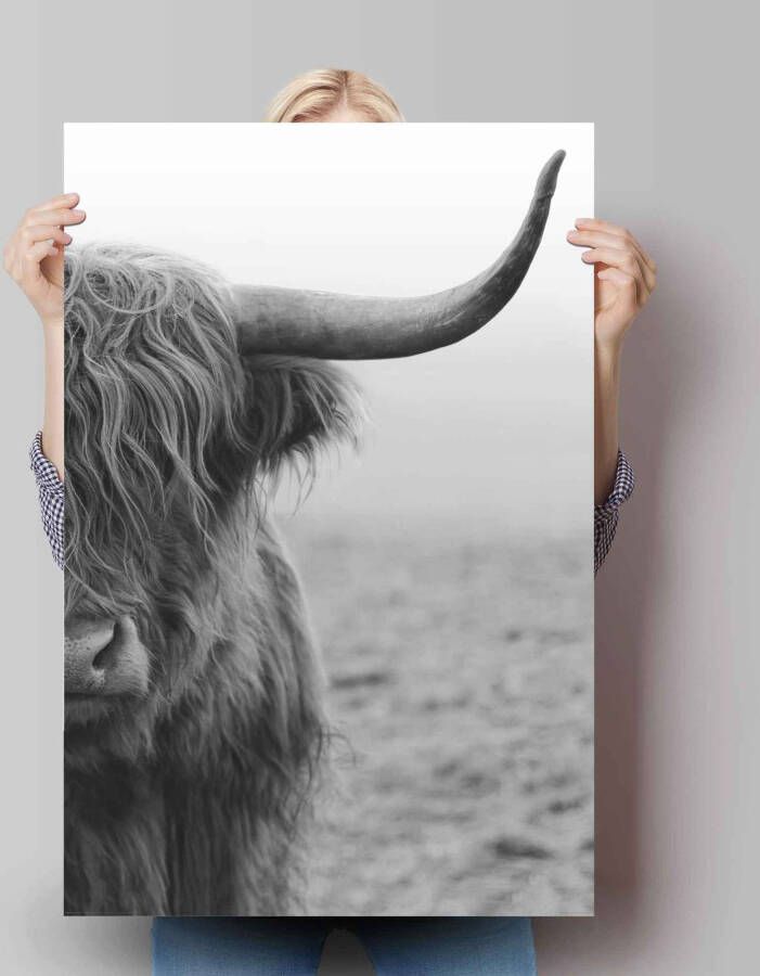 Reinders! Poster Highlander stier