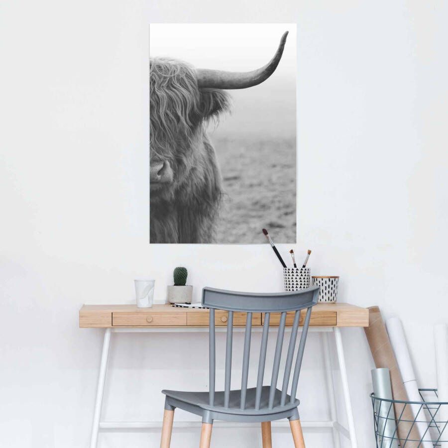 Reinders! Poster Highlander stier