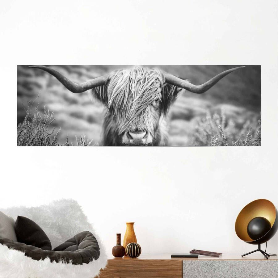 Reinders! Poster Highlander stier diermotief close-up Schotse hooglander beeld