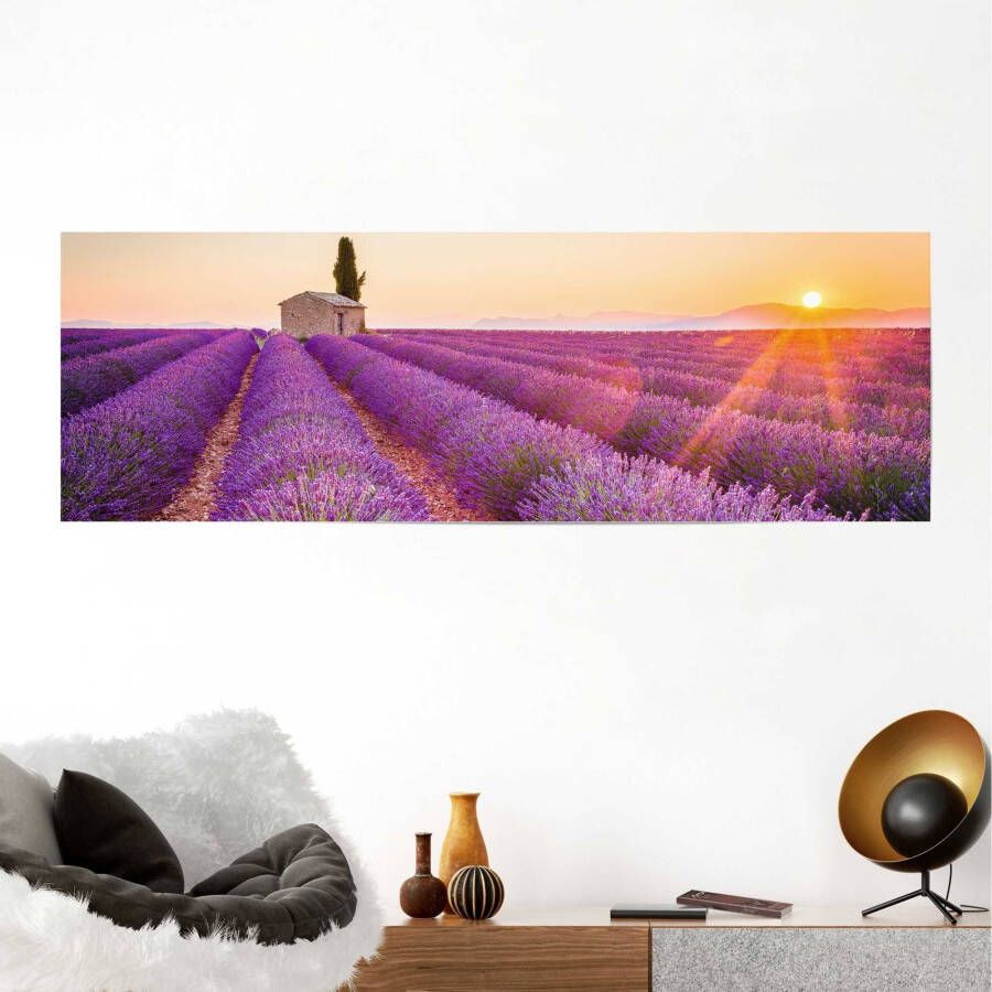 Reinders! Poster Lavendel Horizon