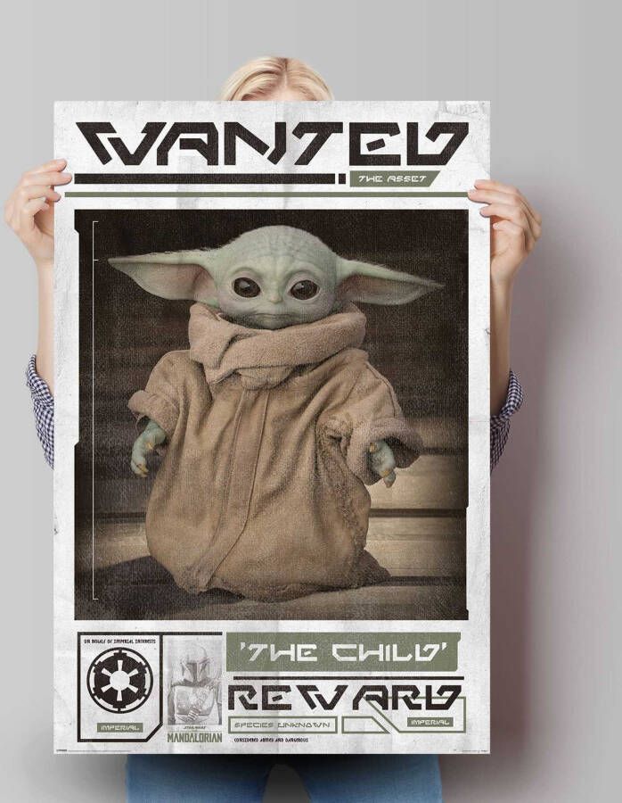 Reinders! Poster Mandalorian baby Yoda The Child