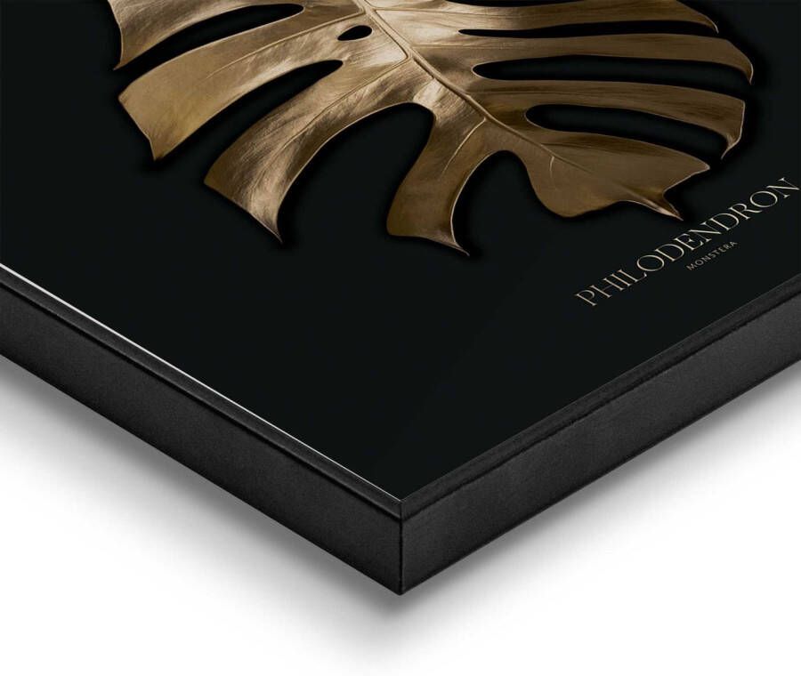 Reinders! Poster Monstera blad