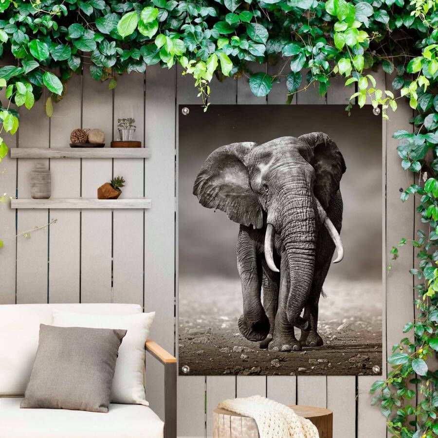 Reinders! Poster Olifant