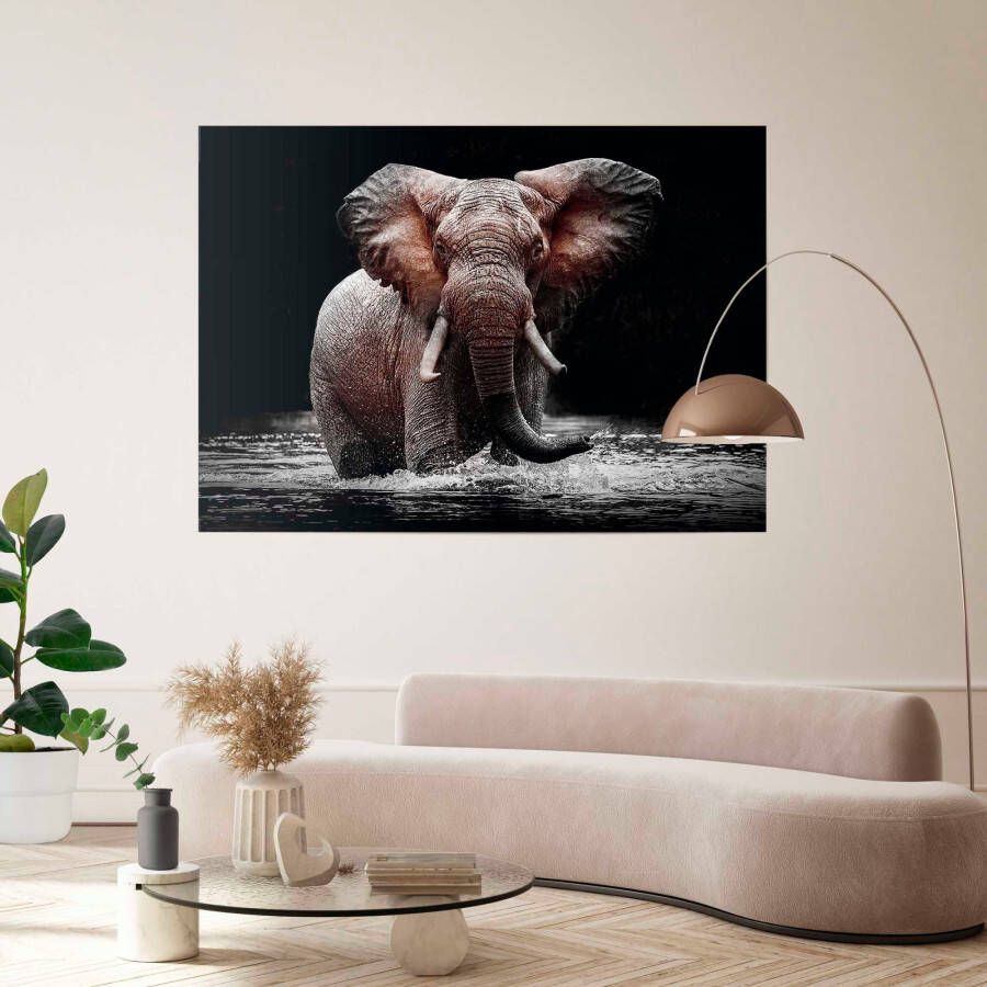 Reinders! Poster Olifant