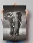 Reinders! Poster olifant wandeling - Thumbnail 2