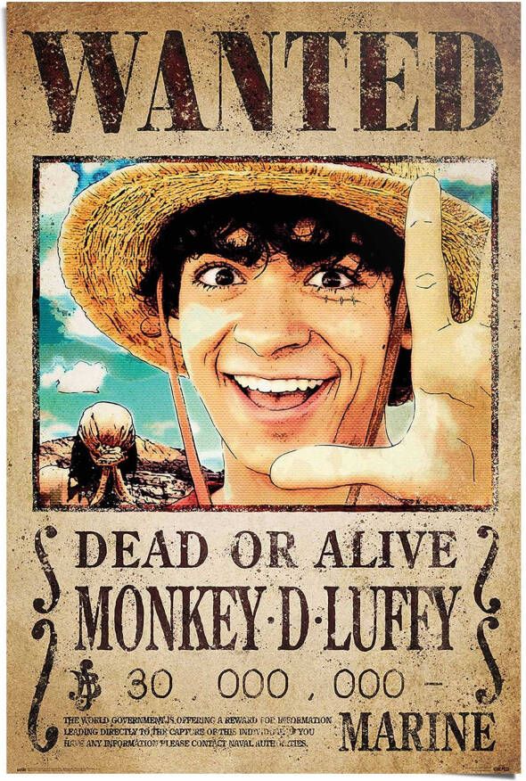 Reinders! Poster One Piece wanted monkey d. Luffy