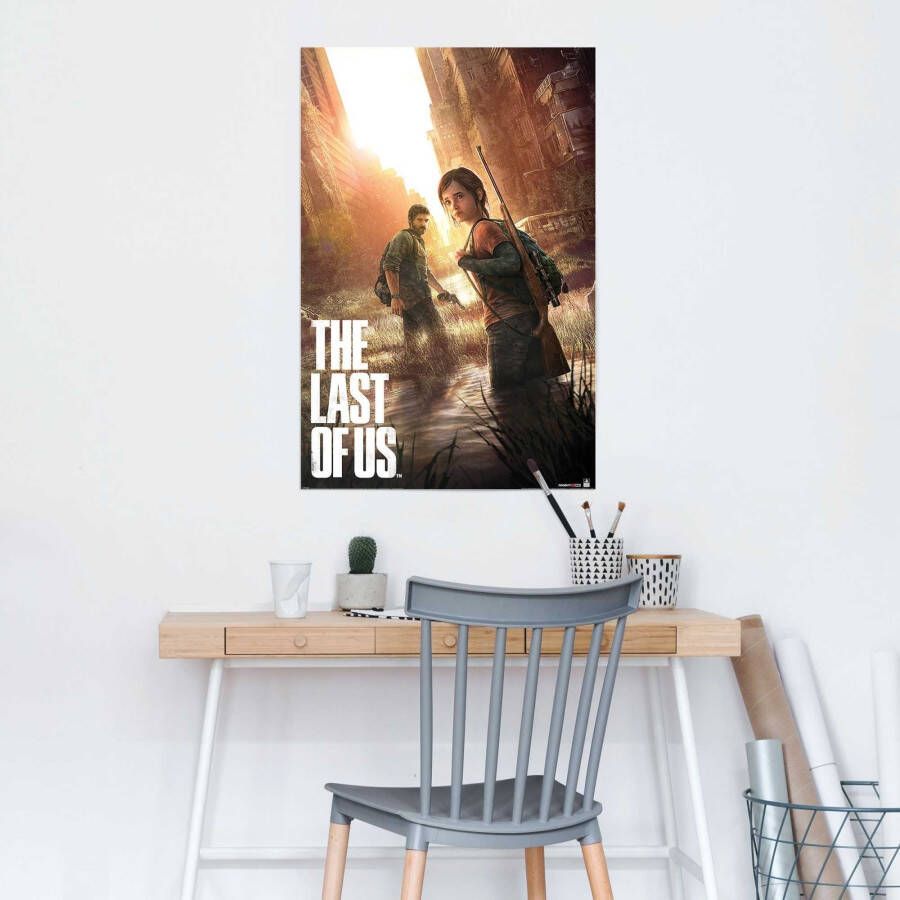 Reinders! Poster Playstation the last of us