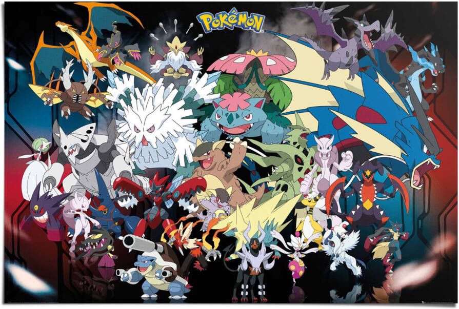 Reinders! Poster Pokemon