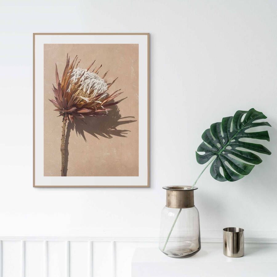 Reinders! Poster Protea Blume