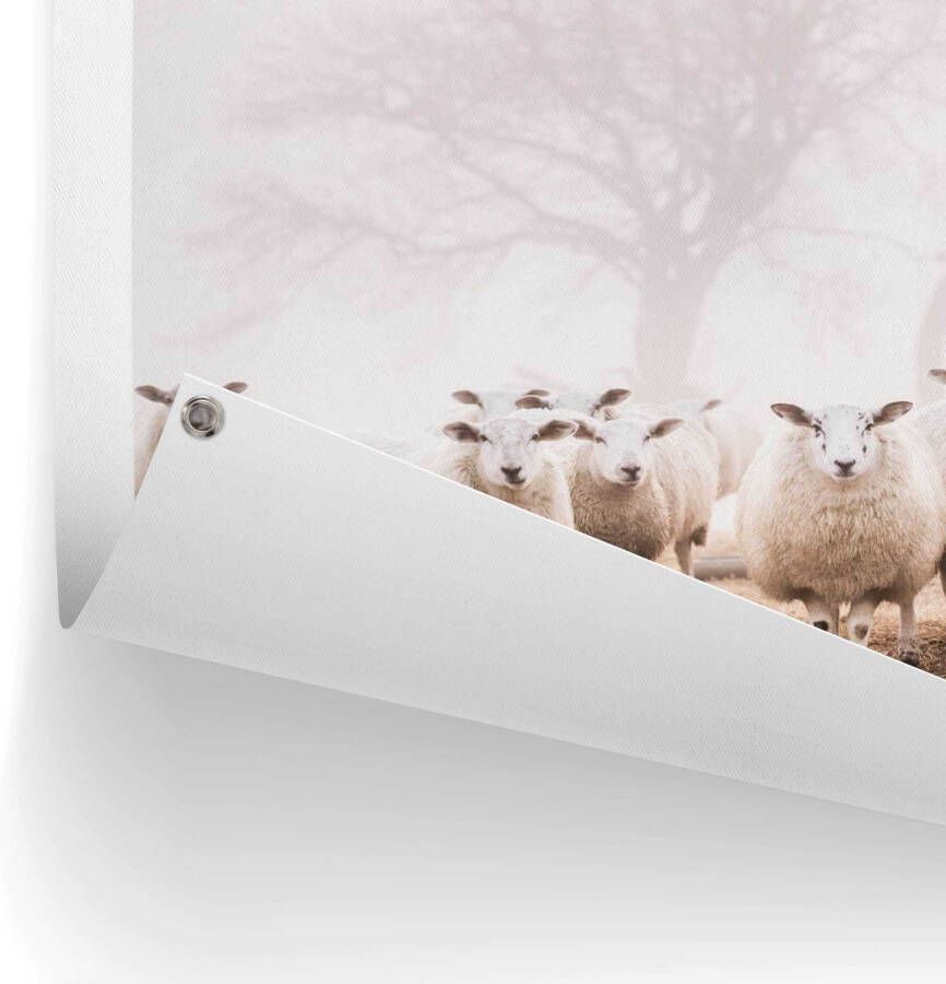 Reinders! Poster Schafe im Nebel