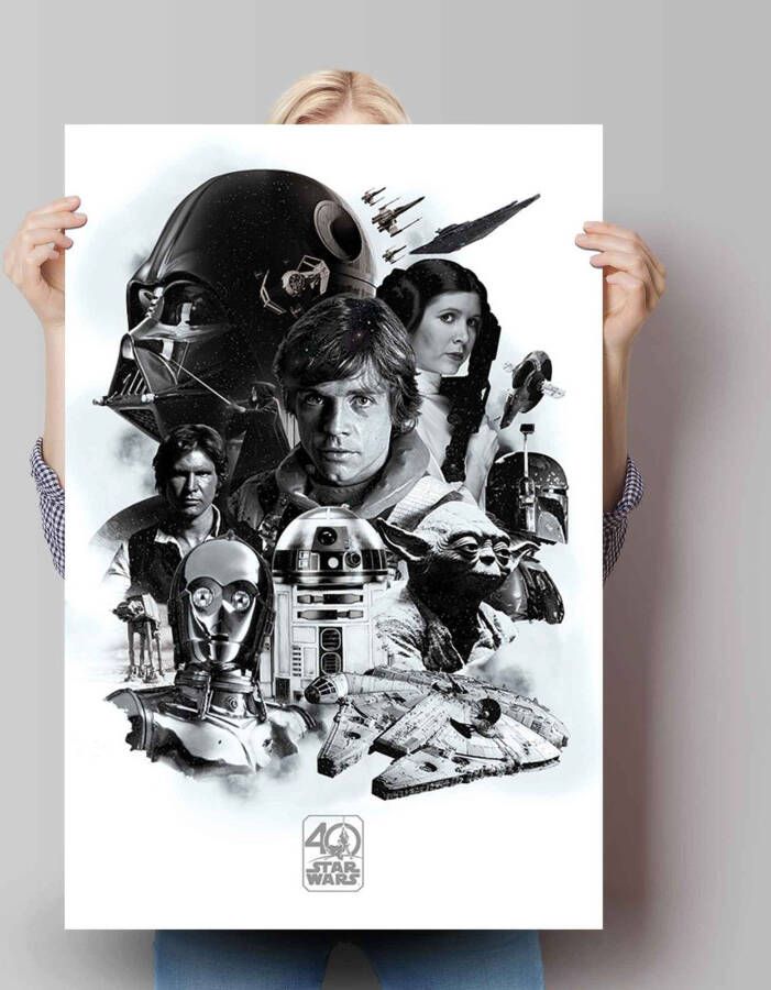 Reinders! Poster Star Wars 40 jaar
