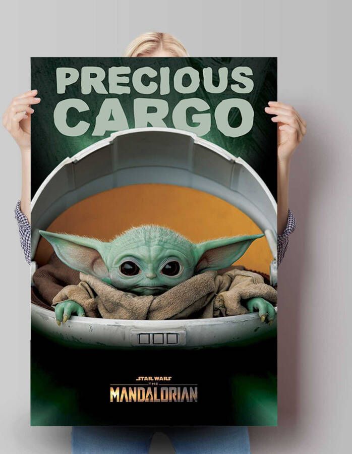 Reinders! Poster The Mandalorian baby Yoda