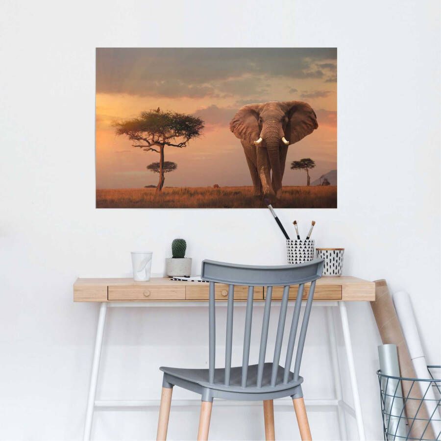 Reinders! Poster Wilde dieren van Afrika olifant