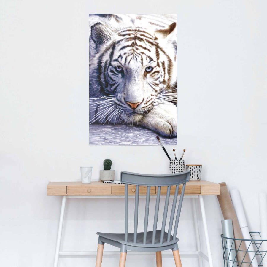 Reinders! Poster Witte tijger