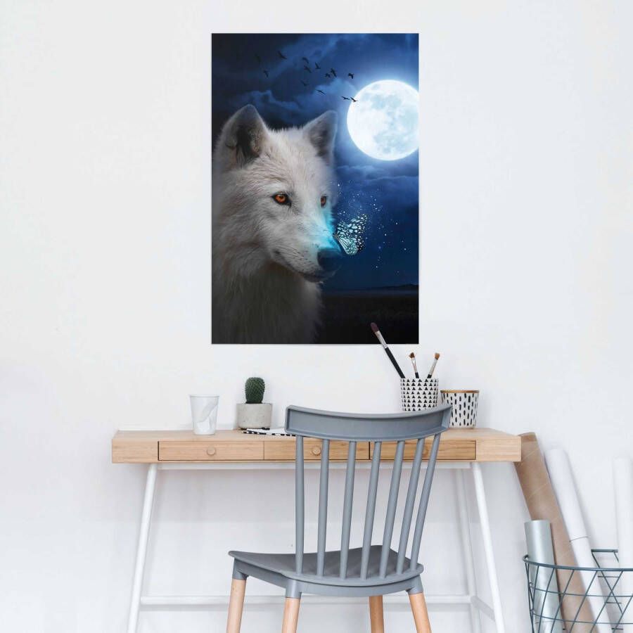Reinders! Poster Witte wolf