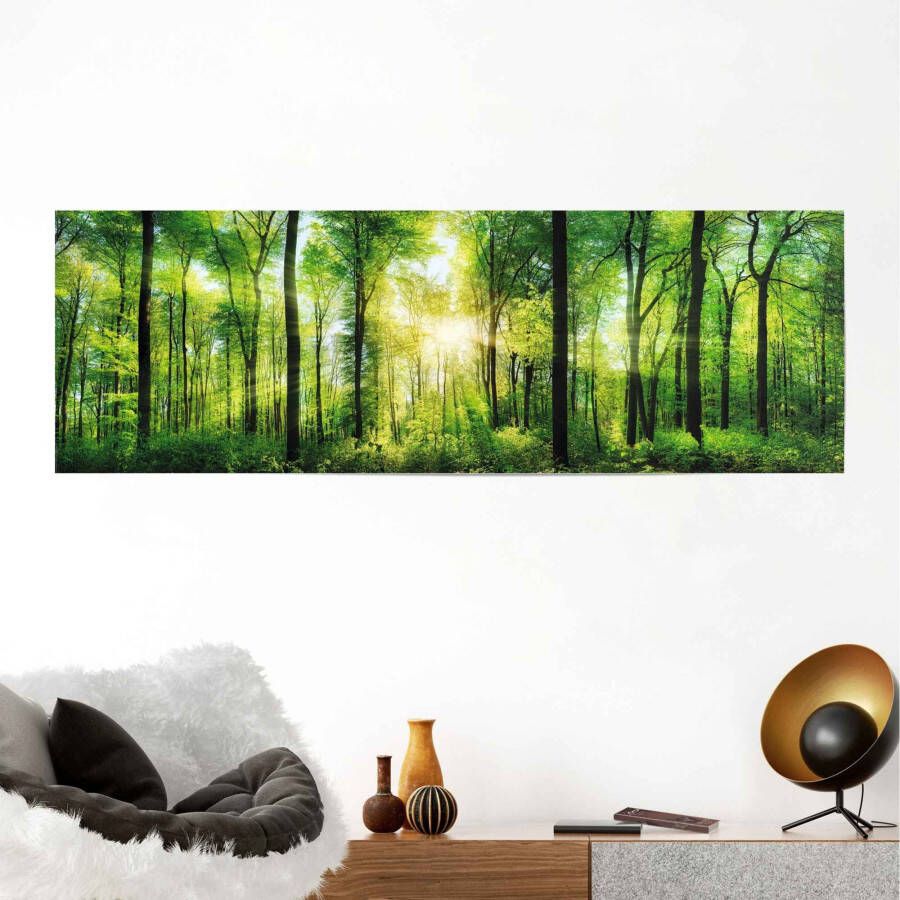 Reinders! Poster Zomerbos