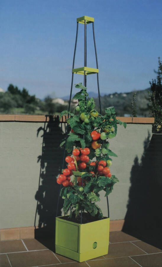Think Garden Plantenbak Tomaten Tower