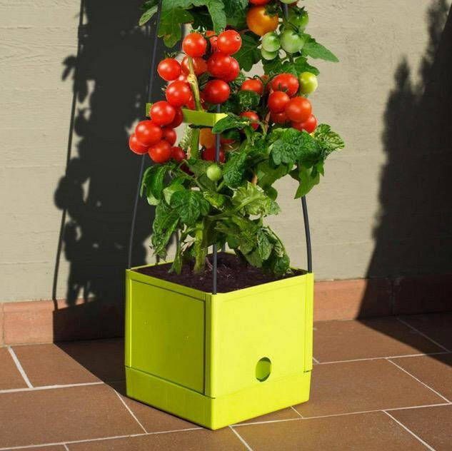 Think Garden Plantenbak Tomaten Tower