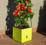 Think Garden Plantenbak Tomaten Tower - Thumbnail 9