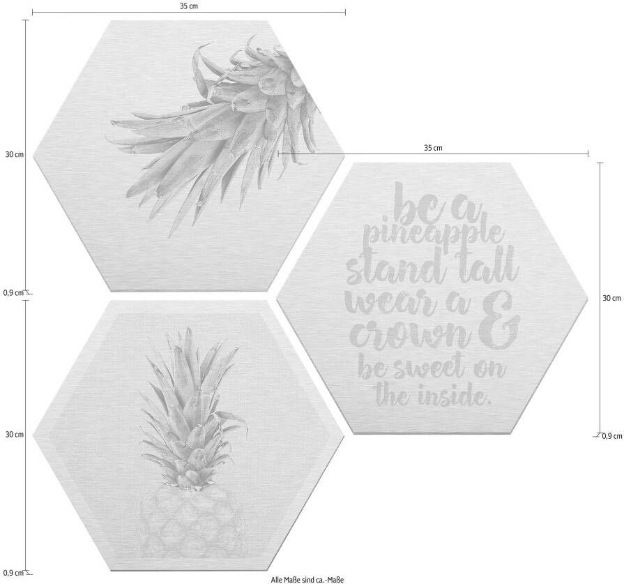 Wall-Art Aluminium-dibondprint Ananas (set)