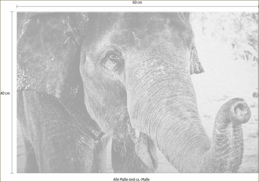 Wall-Art Metalen artprint Indian Elephant 60 40 cm