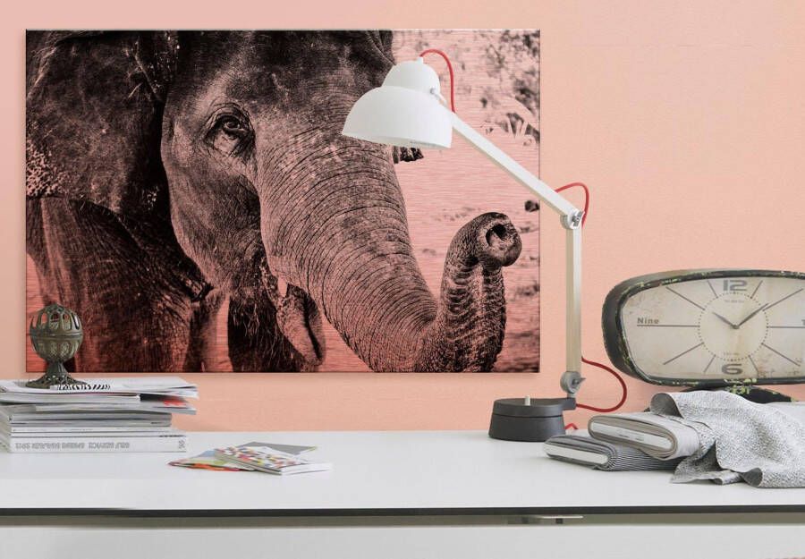 Wall-Art Metalen artprint Indian Elephant 60 40 cm