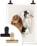 Wall-Art Poster Bunny Love Poster zonder lijst (1 stuk) - Thumbnail 4