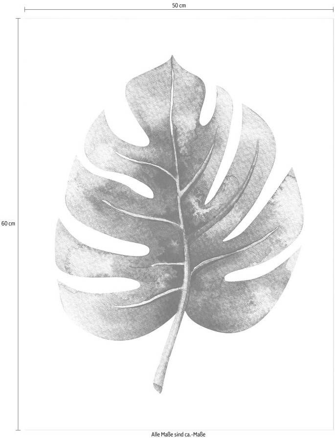 Wall-Art Poster Kvilis gatenplant Leaf