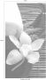 Wall-Art Vliesbehang Wellness orchidee - Thumbnail 3