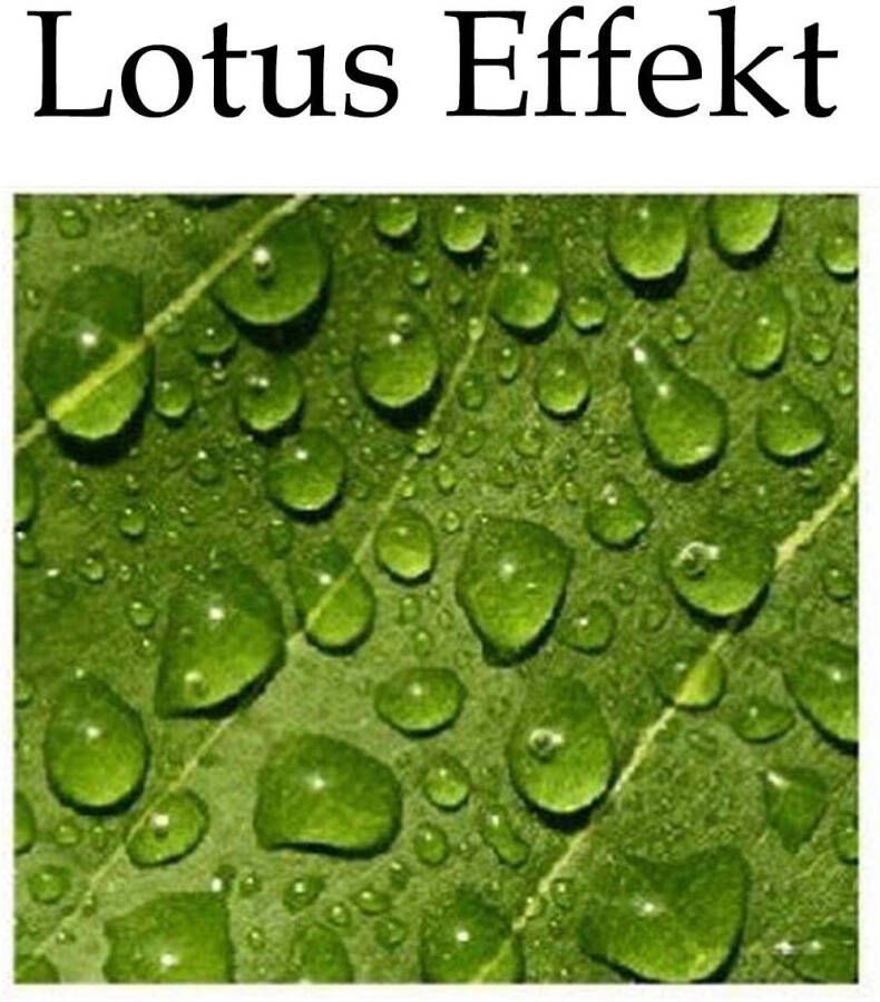 Weckbrodt Sierkussen Cactussen Kussenhoes met vulling outdoor (1 stuk)