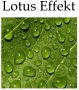 Weckbrodt Sierkussen Cactussen Kussenhoes met vulling outdoor (1 stuk) - Thumbnail 2