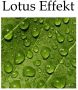 Weckbrodt Sierkussen Zomerbloemen Kussenhoes met vulling outdoor bedrukt floraal gebloemd (1 stuk) - Thumbnail 2