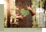 Welltime Spiegel Milano - Thumbnail 4