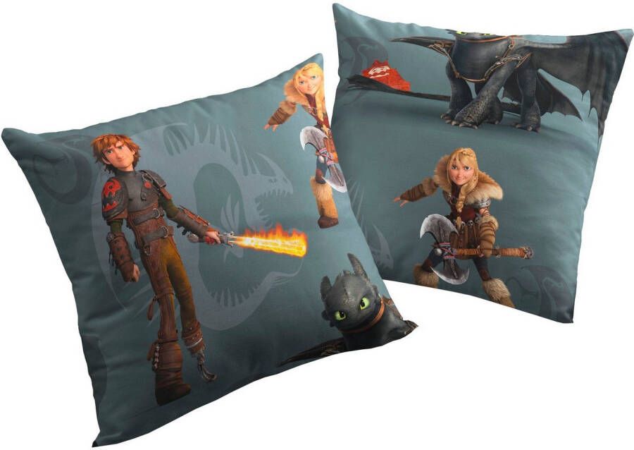Wirth Sierkussen Dragons Universal Pictures kussenhoes zonder vulling(2 stuks)