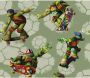 Wirth Sierkussen Turtles Nickelodeon kussenhoes zonder vulling(2 stuks) - Thumbnail 4
