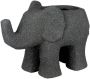 GILDE Dierfiguur Elefant Maroni (1 stuk) - Thumbnail 4