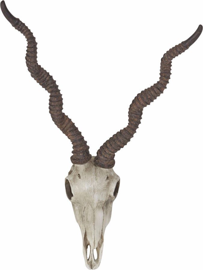 HOFMANN LIVING AND MORE Decoratief gewei Antilopenkop