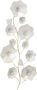 HOFMANN LIVING AND MORE Sierobject voor aan de wand Wanddecoratie (1 stuk) - Thumbnail 1