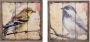 HOFMANN LIVING AND MORE Wanddecoratie Vogel Dierenmotief (set 2 stuks) (set) - Thumbnail 1